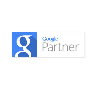 Google Partner Badge